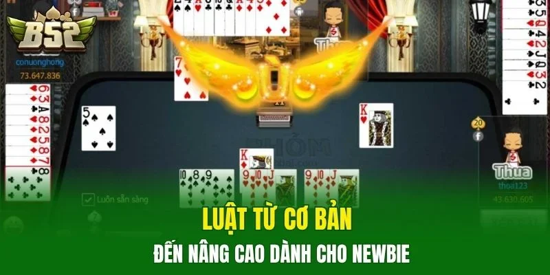 Luật từ cơ bản đến nâng cao dành cho newbie
