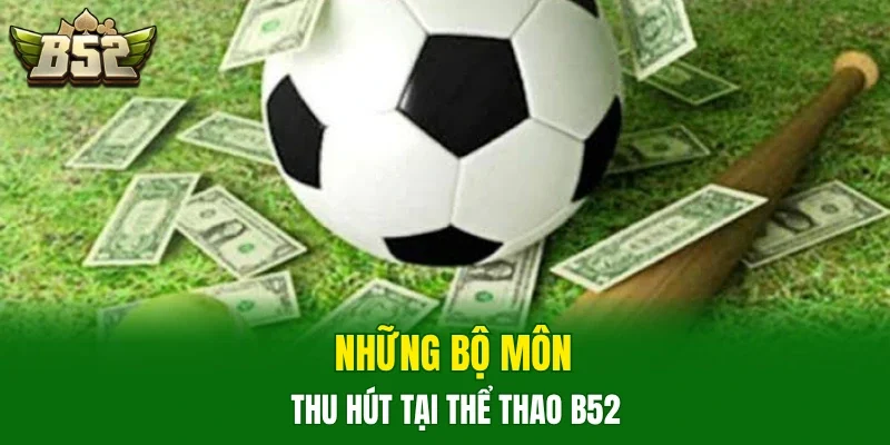 Những bộ môn thu hút tại thể thao B52