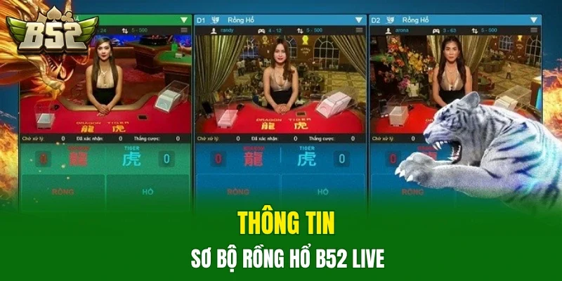 Thông tin sơ bộ Rồng Hổ B52 live